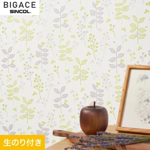 【のり付き壁紙】シンコール BIGACE ミディアム BA6201