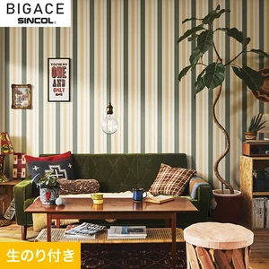 【のり付き壁紙】シンコール BIGACE ミディアム BA6205