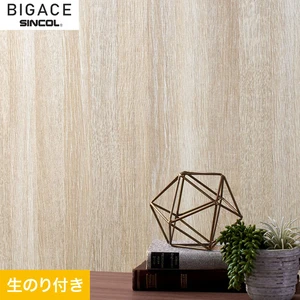 【のり付き壁紙】シンコール BIGACE ミディアム BA6206