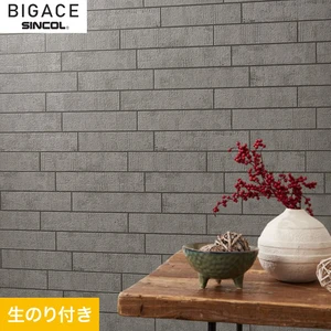 【のり付き壁紙】シンコール BIGACE ミディアム BA6212