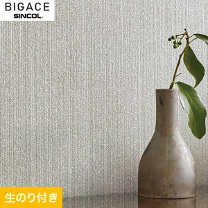 【のり付き壁紙】シンコール BIGACE ミディアム BA6216