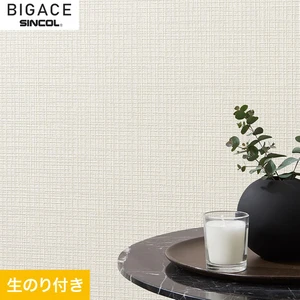 【のり付き壁紙】シンコール BIGACE ミディアム BA6219