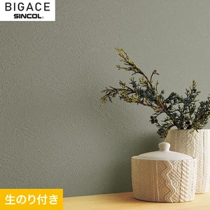 【のり付き壁紙】シンコール BIGACE デコラティブ BA6418