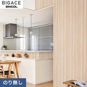 【のりなし壁紙】シンコール BIGACE シンプル BA6111