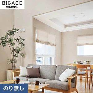 【のりなし壁紙】シンコール BIGACE シンプル BA6184