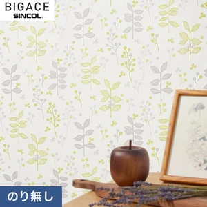 【のりなし壁紙】シンコール BIGACE ミディアム BA6201