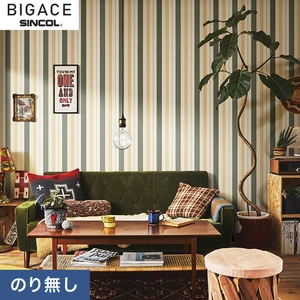 【のり無し壁紙】シンコール BIGACE ミディアム BA6205