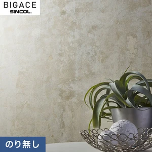 【のりなし壁紙】シンコール BIGACE ミディアム BA6255
