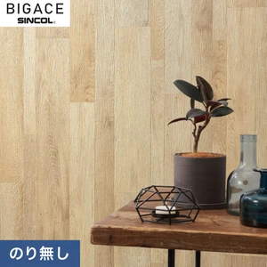 【のりなし壁紙】シンコール BIGACE ミディアム BA6290