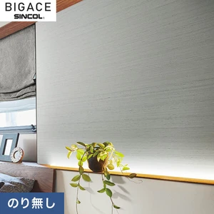 【のりなし壁紙】シンコール BIGACE ミディアム BA6314