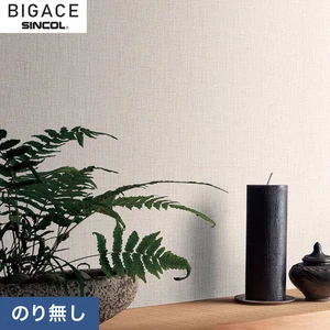 【のりなし壁紙】シンコール BIGACE ミディアム BA6344