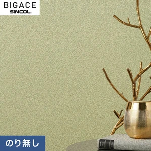 【のりなし壁紙】シンコール BIGACE ミディアム BA6345