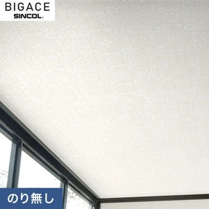 【のりなし壁紙】シンコール BIGACE 天井 BA6487
