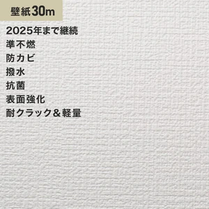 シンプルパック30m (生のり付きスリット壁紙のみ) ルノン RM-603