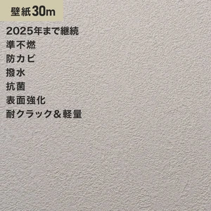 シンプルパック30m (生のり付きスリット壁紙のみ) ルノン RM-613
