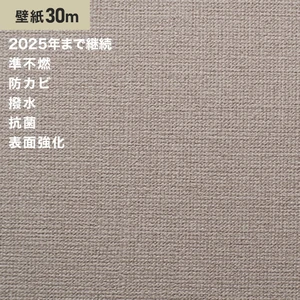 シンプルパック30m (生のり付きスリット壁紙のみ) ルノン RM-670