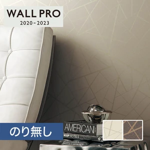 【のりなし壁紙】シンコール ウォールプロ 2020-2023 素材壁紙 [ふりまき素材] SW4208-4209