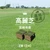 芝生 天然芝 高麗芝 宮崎県産 2束(2平米)入 ソッド /（バリエーション）hgs-korai