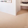 オーダーカーペット アスワン アスシャリオII 全厚6mm (防ダニ)