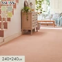 カーペット アスワン アスデイジー 全厚8mm 240×240cm