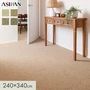 カーペット アスワン アスシーズン 全厚9.5mm 240×340cm