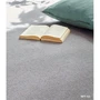 カーペット アスワン ニューアスポーター 全厚7mm 190×240cm