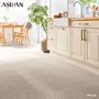 カーペット アスワン アスポップル 全厚7mm 240×340cm