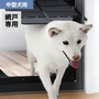 ダイオ化成 網戸専用犬猫出入り口(大) 縦34cm×横31cm【在庫/即日】