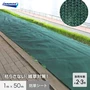 イノベックス 防草シート あぜキープ 1m×50m 4～6年