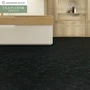 エグザフロア