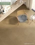 エスターテラ