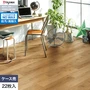 フロアタイル 木目 タジマ WOODLINE NW 150×914.4×3.0mm グラインドオーク 22枚入【掲載品番】WDH-1350