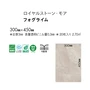 フロアタイル 東リ ロイヤルストーン フォグライム 300×450×3mm [1枚売]