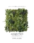 ジャングルファーン