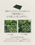 壁掛けフェイクグリーン用 下地シート グリーンベースシート 1.1m×10m巻【掲載品番】GRN-STZ-1X10