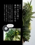 取り付けた時に葉が上向きになる