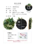商品詳細