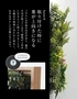 取り付けた時に葉が上向きになる