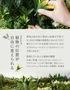 植物の位置が自由に変えられる