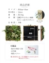 商品詳細