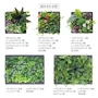 マグネット式壁面装飾 ぴたっとグリーン 人工植栽 ヘデラグリーン