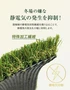 【法人配送】 人工芝 ロール ハーモニーターフ ネオ 1m×10m 芝丈28mm 高密度