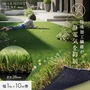 人工芝 ロール ハーモニーターフ ネオ 1m×10m 芝丈28mm 高密度