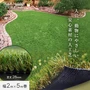 人工芝 ロール ハーモニーターフ ソフト 2m×5m 芝丈28mm 高密度