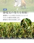 静電気の発生を抑制！