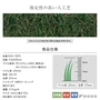 スミノエ SHIBA リアル人工芝 SGC-1025 巾1m×長さ10m