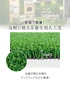 【法人・個人事業主様専用】テラモト 人工芝 P470 182cm幅 切売り 1m単位
