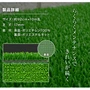 成型人工芝 日本製ウインドターフ（ワタナベ工業）92cm×10m FT-170