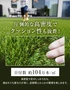 人工芝 ロール 1m×10m巻 芝丈30mm ペンタゴンスターグラス