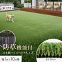 人工芝 ロール 防草機能付き 1m×10m巻 芝丈35mm スターグラスアドバンス